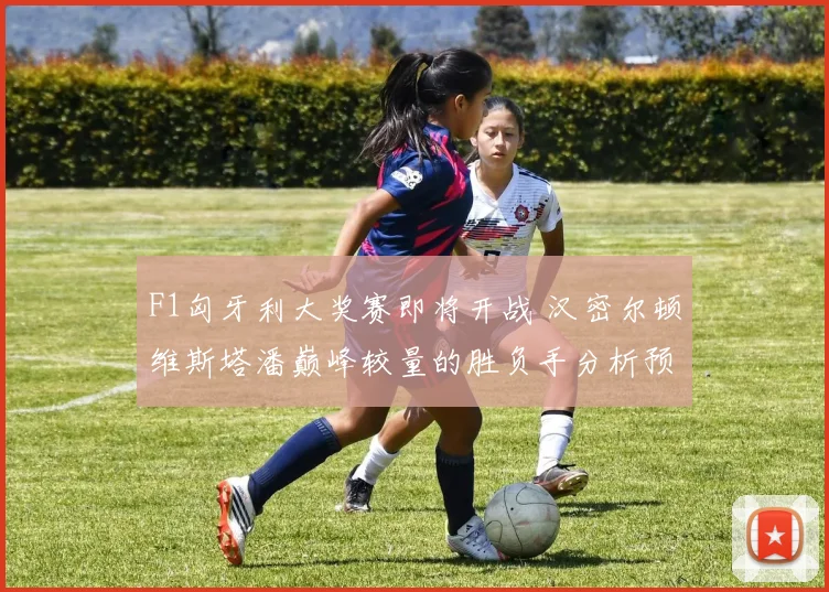 F1匈牙利大奖赛即将开战 汉密尔顿维斯塔潘巅峰较量的胜负手分析预测